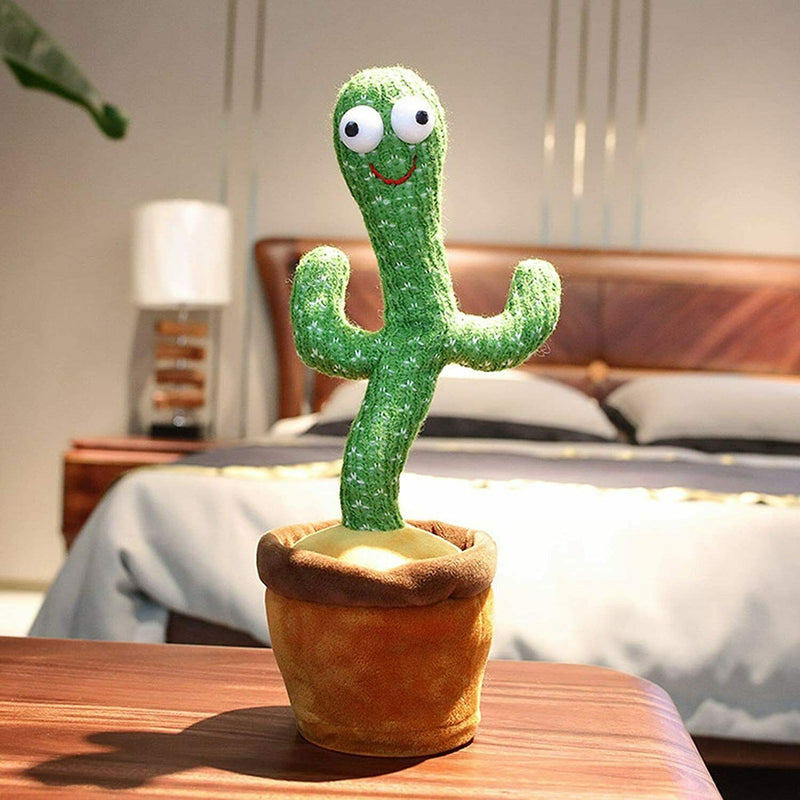 Cactus Bailarín Repetidor