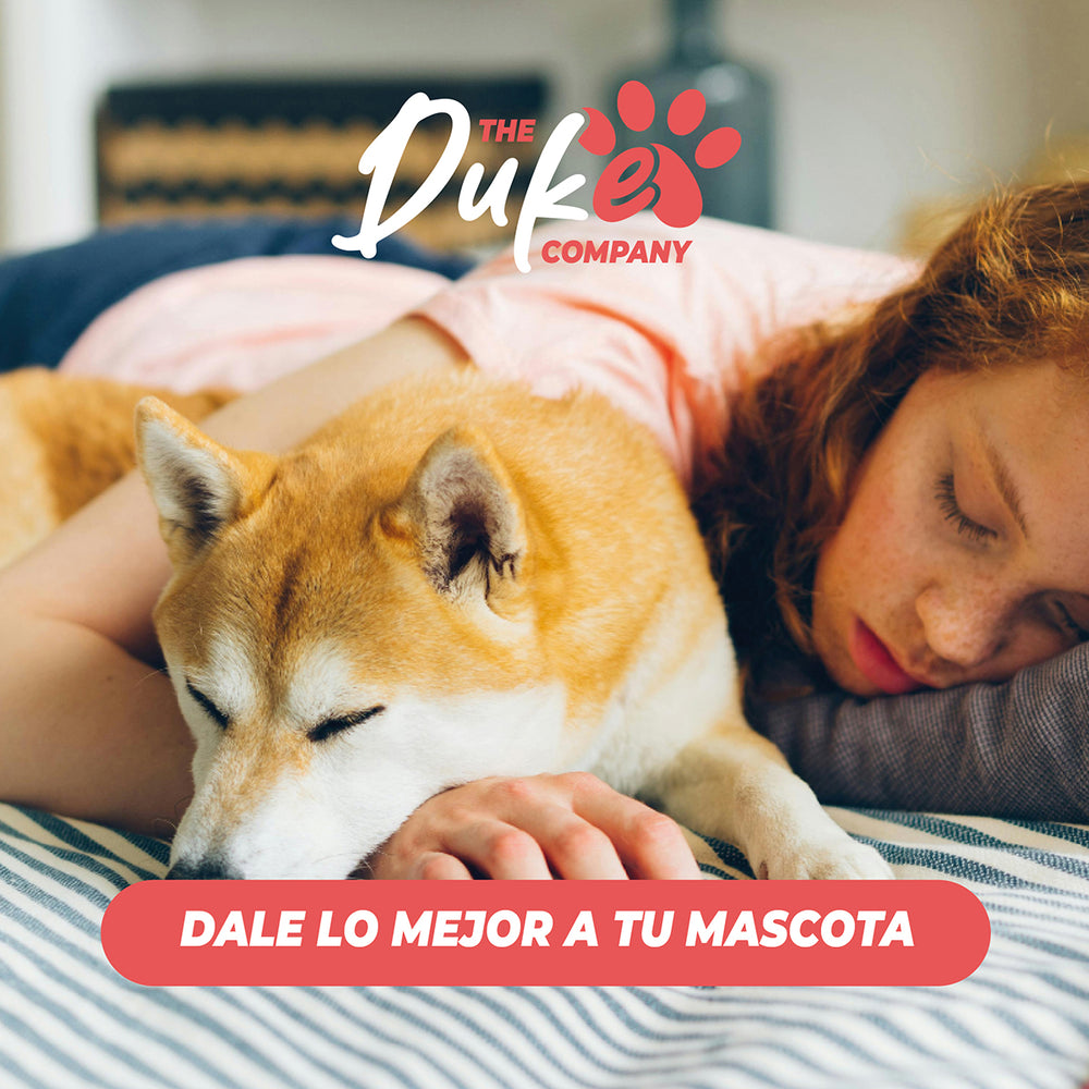 Cama de perro talla M The Duke Company 62 x 62 x 22 cm beige