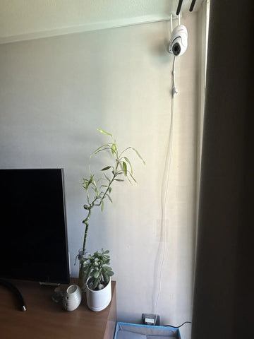 Foto de la reseña de Comprador verificado