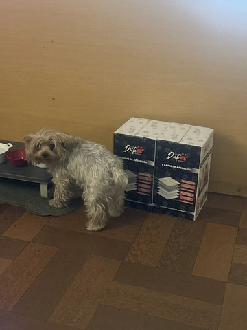 Foto de la reseña de Comprador verificado