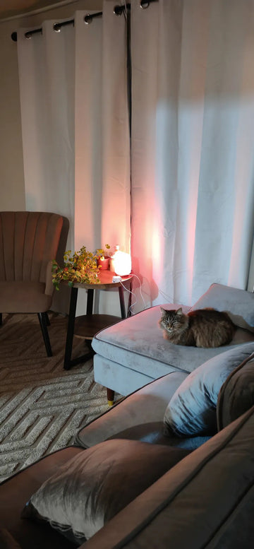Foto de la reseña de Comprador verificado