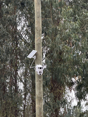 Foto de la reseña de Comprador verificado