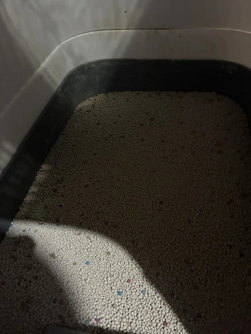 Foto de la reseña de Comprador verificado