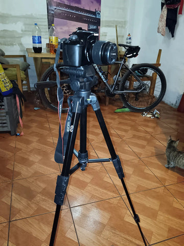 Foto de la reseña de Comprador verificado
