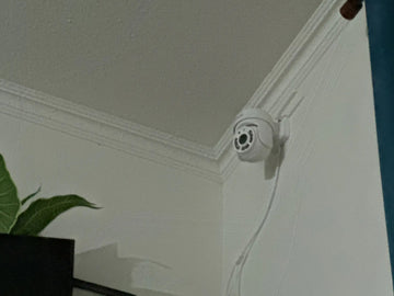 Foto de la reseña de Comprador verificado