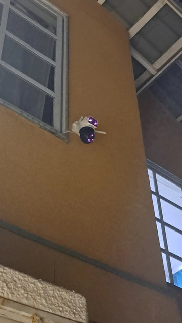 Foto de la reseña de Comprador verificado