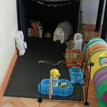 Foto de la reseña de Comprador verificado