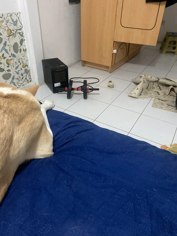 Foto de la reseña de Comprador verificado