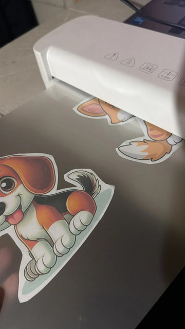 Foto de la reseña de Comprador verificado