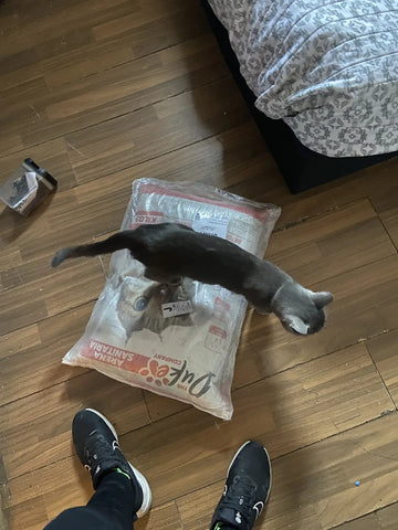 Foto de la reseña de Comprador verificado