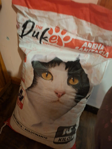 Foto de la reseña de Comprador verificado