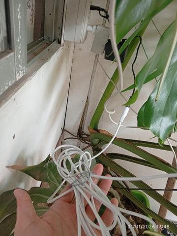 Foto de la reseña de Comprador verificado
