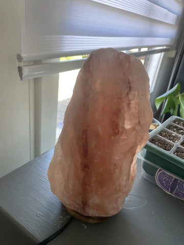 Foto de la reseña de Comprador verificado