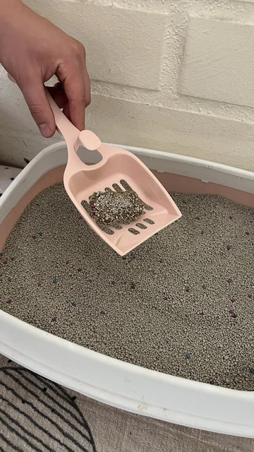 Foto de la reseña de Comprador verificado