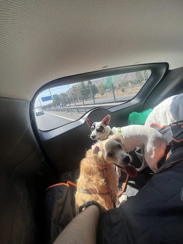 Foto de la reseña de Comprador verificado
