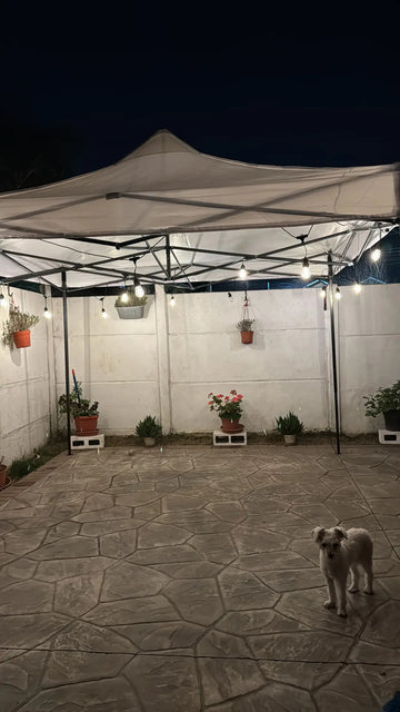 Foto de la reseña de Comprador verificado