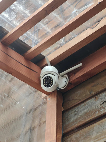 Foto de la reseña de Comprador verificado