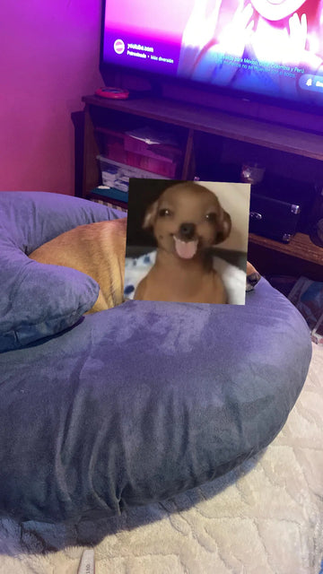 Foto de la reseña de Comprador verificado