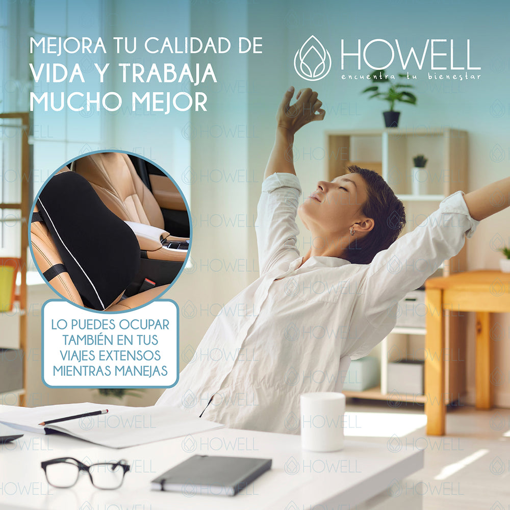 Cojin Lumbar Ortopedico 3D Mesh Howell Espalda Memory Dorsal