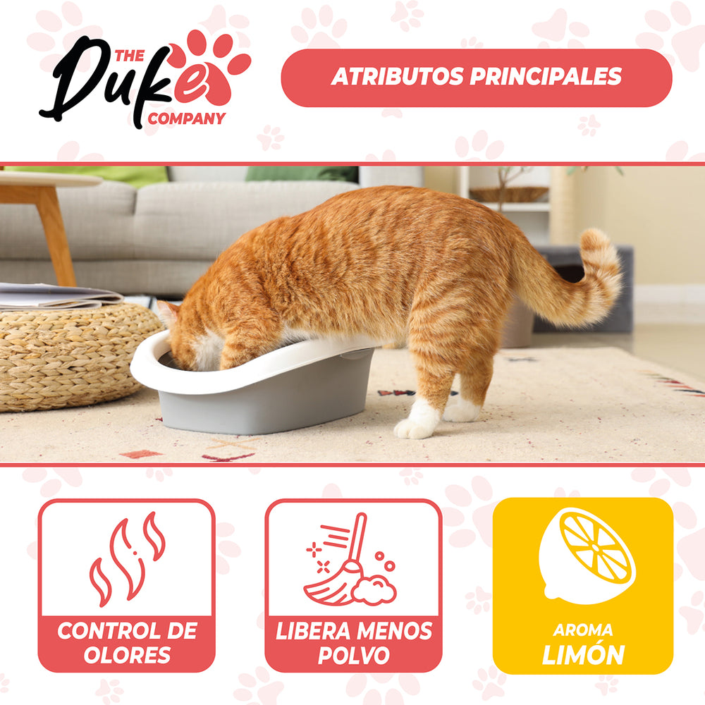 Arena para gato Duke - atributos principales control olores polvo