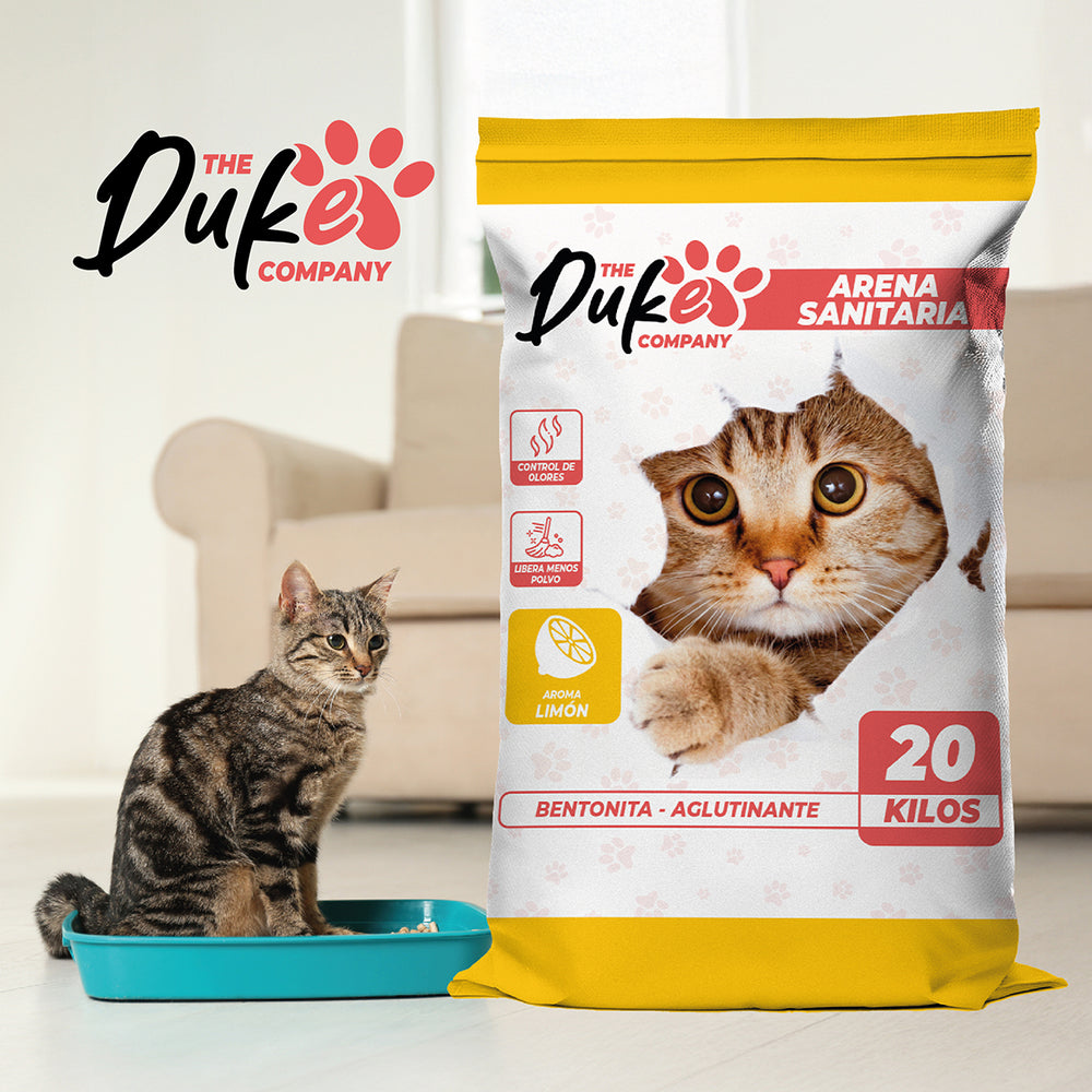 Arena para gato Duke - lifestyle gato con bandeja