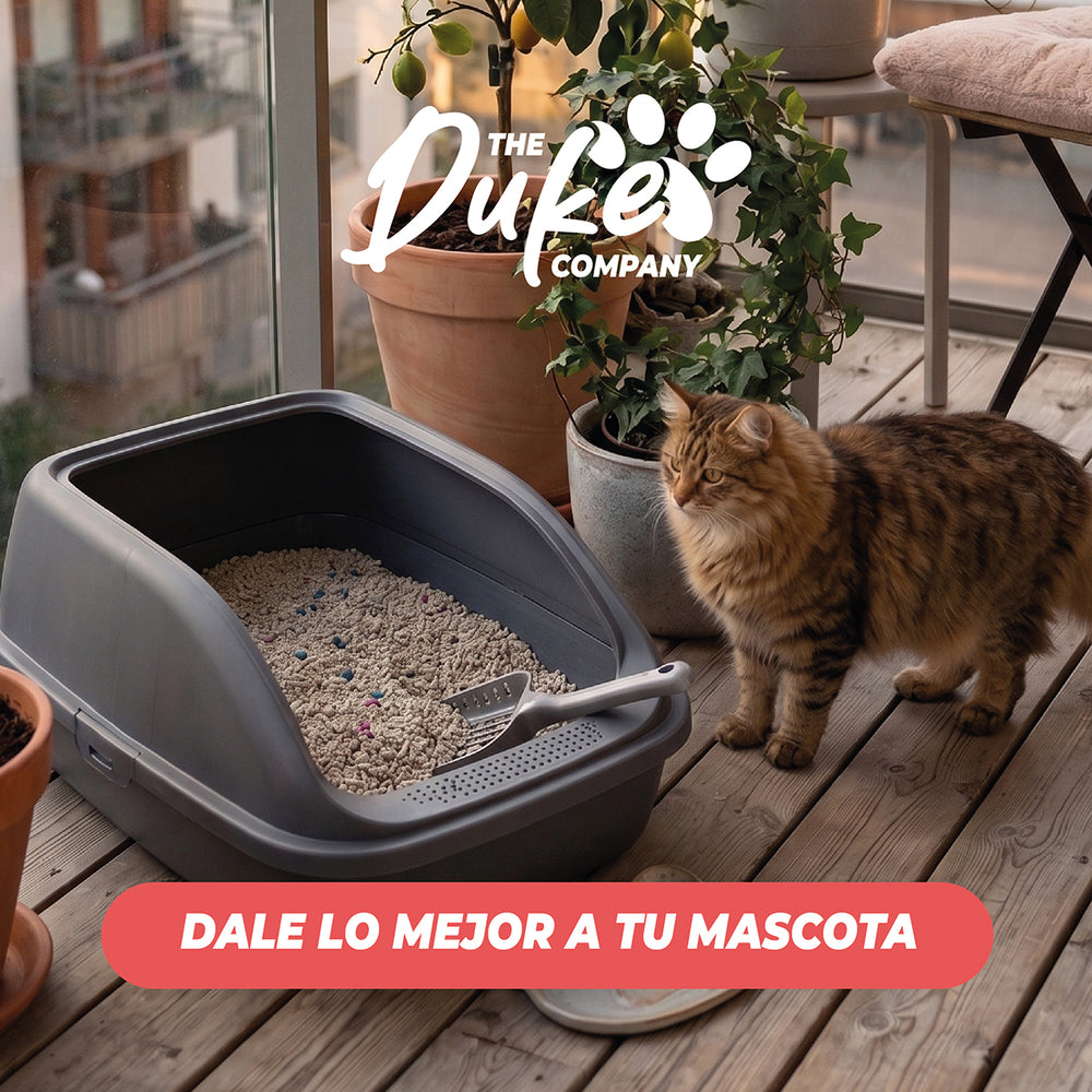 Arena para gato Duke - dale lo mejor a tu mascota
