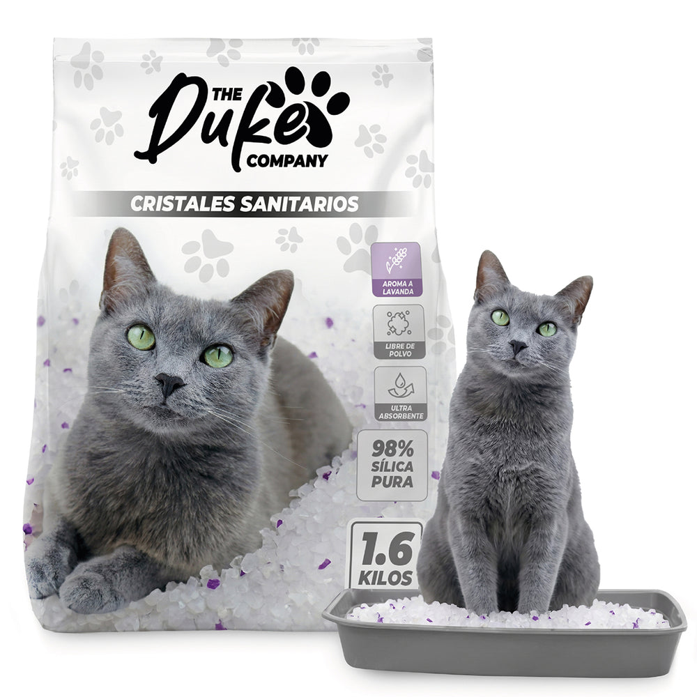 Arena Para Gato Cristal Duke Sanitaria 1.6 Kg Aroma Lavanda - Vista principal