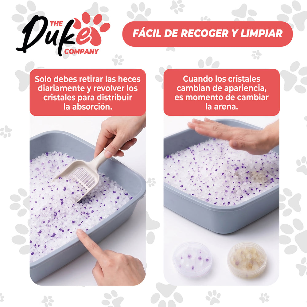 Arena Duke cristales facil de limpiar y recoger