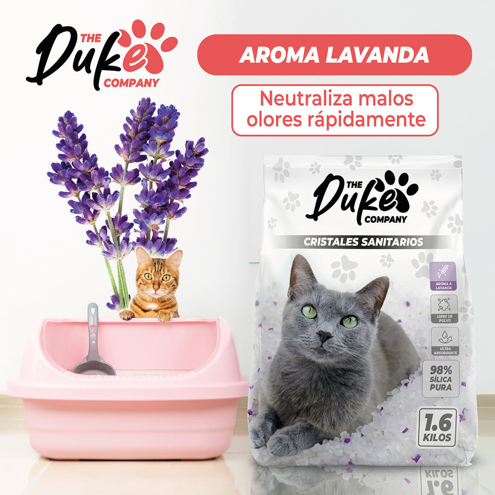 Arena Duke cristales sanitarios aroma lavanda
