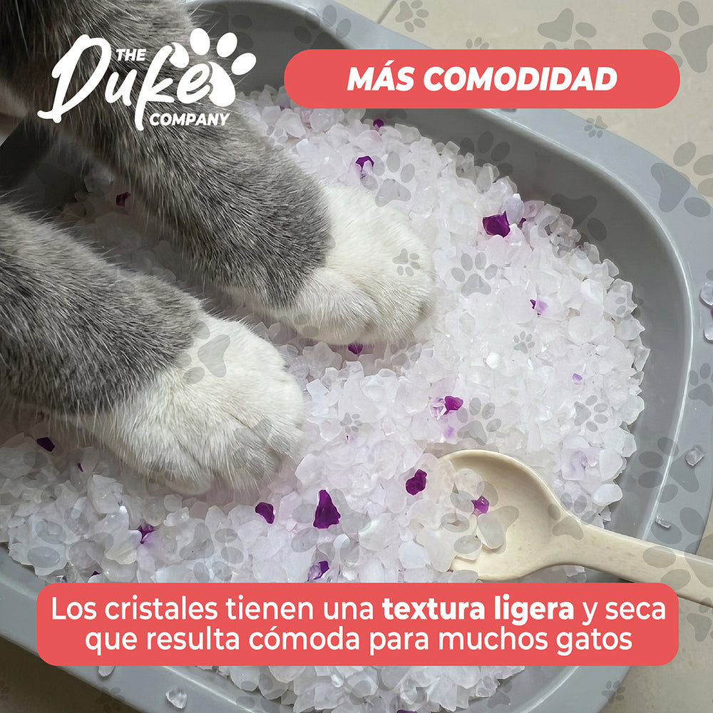 Arena Duke cristales silica gel beneficios
