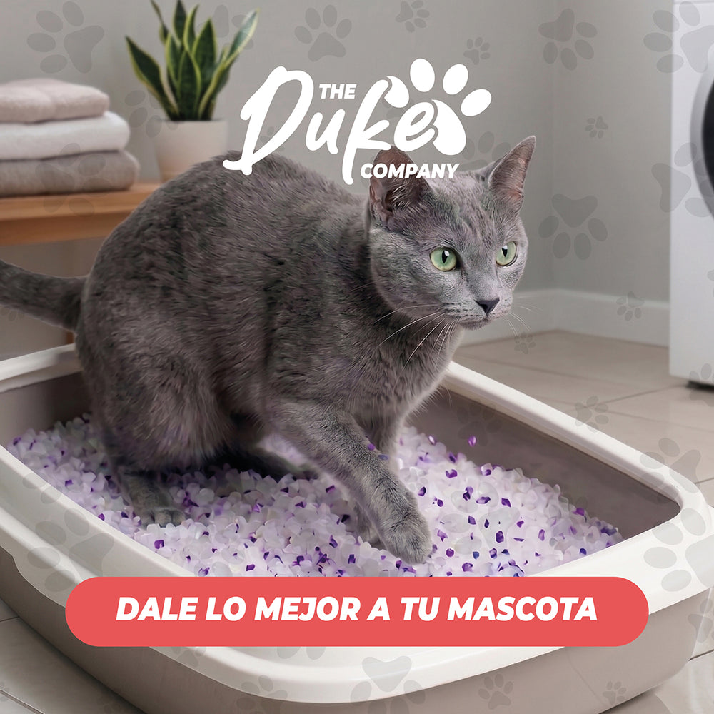 Arena Duke cristales sanitarios gato en arenero