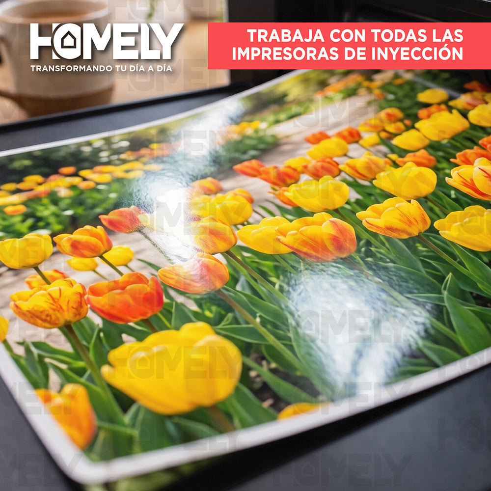 Papel fográfico brillante 100 hojas A4 230 g