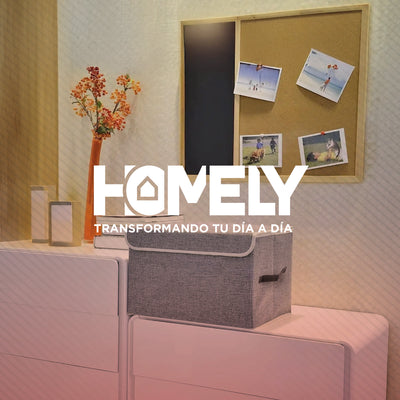 Cajas Organizadoras Homely Tapa Tela Impermeable 22L Set X2