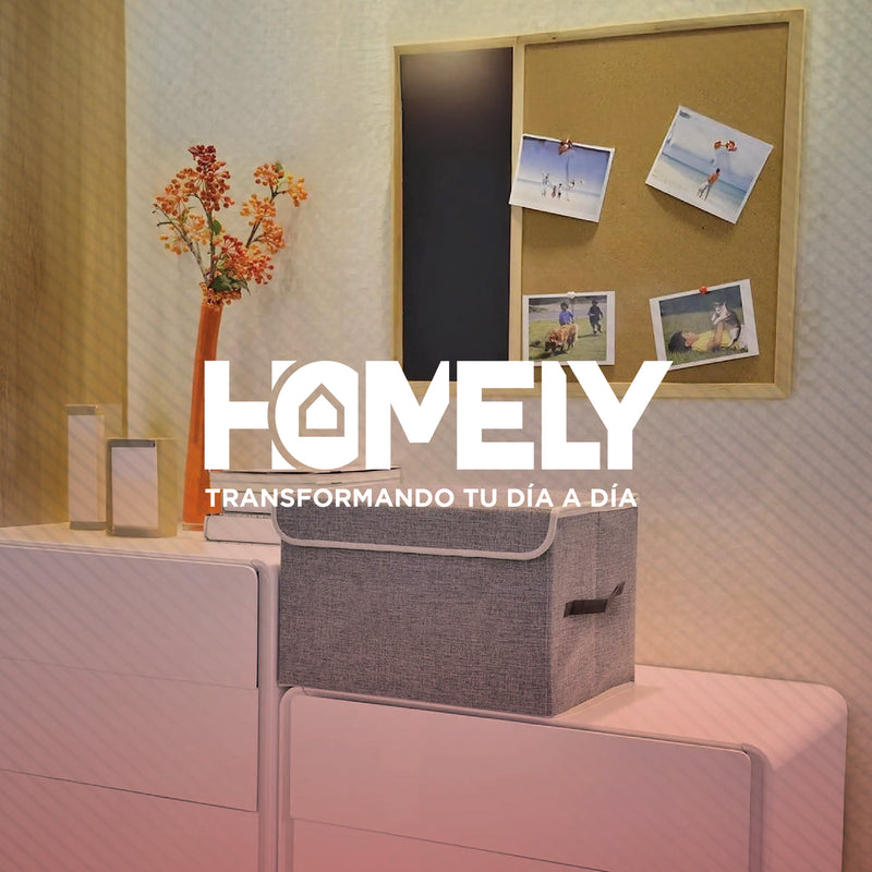 Cajas Organizadoras Homely Tapa Tela Impermeable 22L Set X2