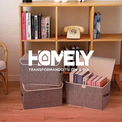 Cajas Organizadoras Homely Tapa Tela Impermeable 22L Set X2