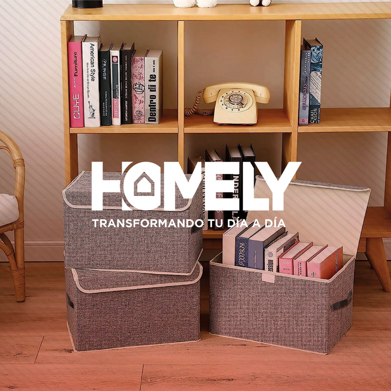 Cajas Organizadoras Homely Tapa Tela Impermeable 22L Set X2