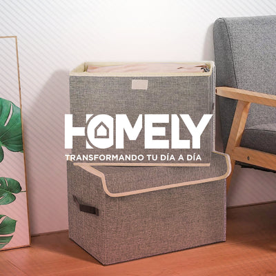 Cajas Organizadoras Homely Tapa Tela Impermeable 22L Set X2