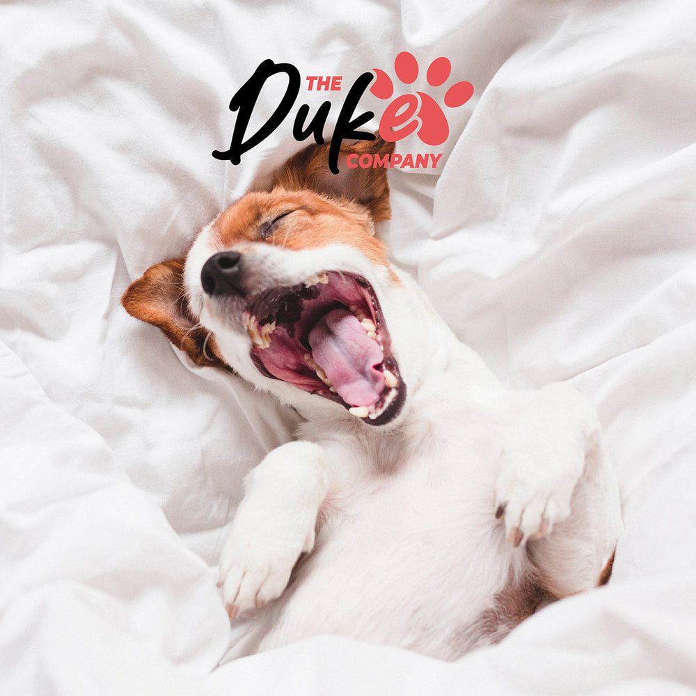 Cama de Perro Antiestrés Lavable Talla S