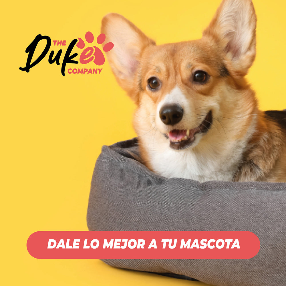 Cama de Perro Antiestrés Lavable Talla S