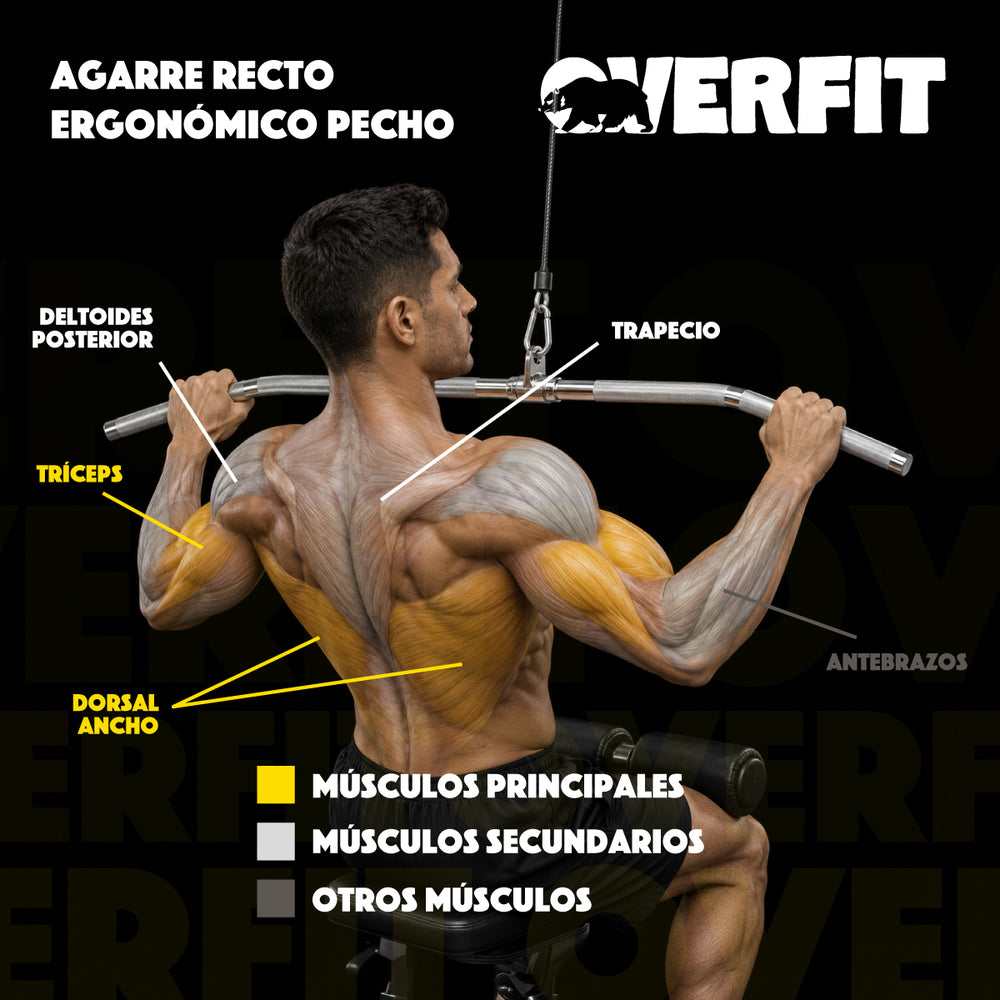 Agarre Tipo Remo Ergonomico Pro Overfit Entrenamiento Polea