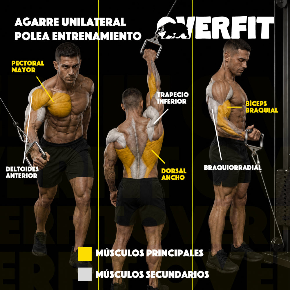 Agarre Unilateral Engomado Pro Overfit Entrenamiento Polea