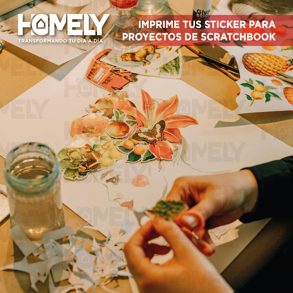 Papel Fotografico Adhesivo Matte A4 135g Homely 50 Hojas Blanco