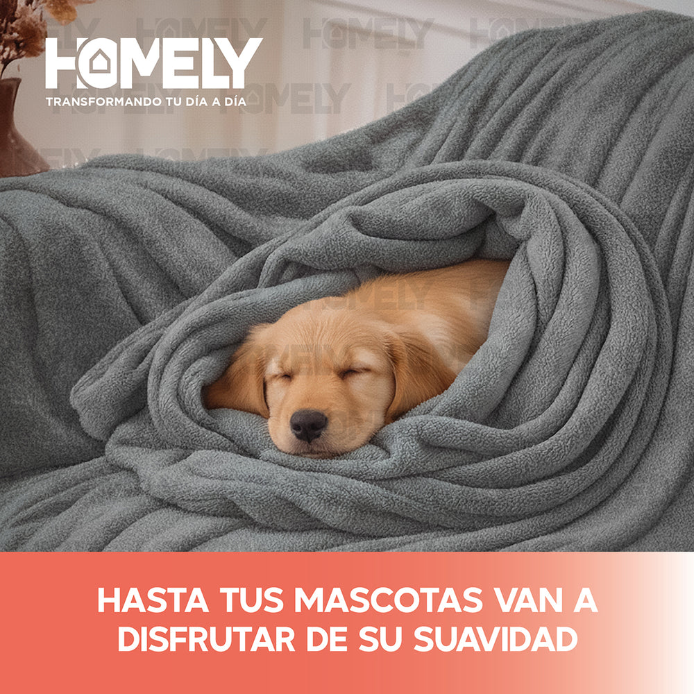 Frazada Polar Termica Queen Homely 300gsm Manta 220x220cm