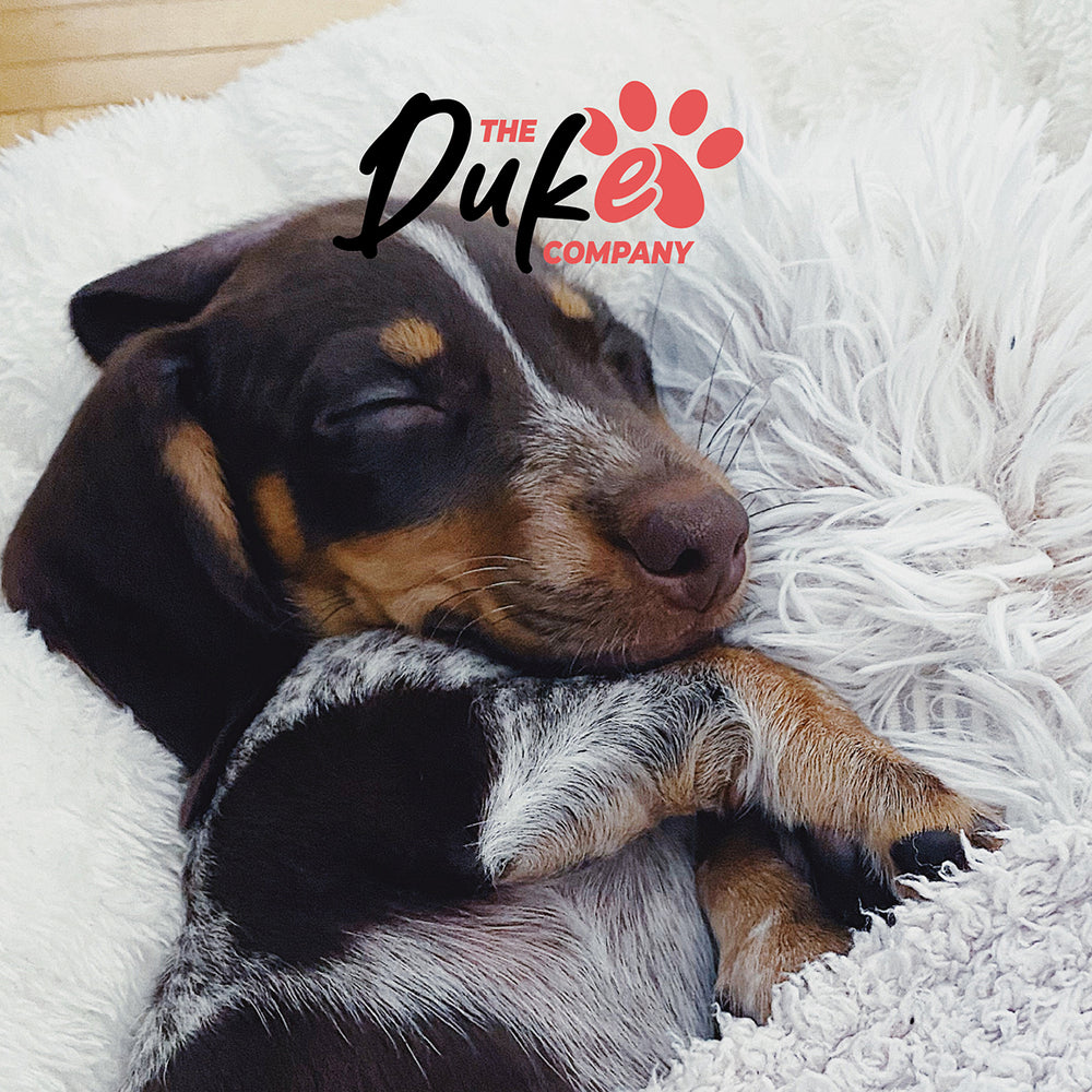 Cama de perro talla M The Duke Company 62 x 62 x 22 cm beige