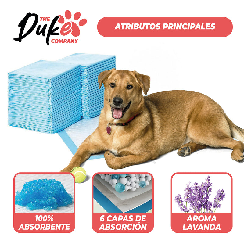 Sabanillas Para Perro 90x60 Duke 6 Capas Aromáticas 40U