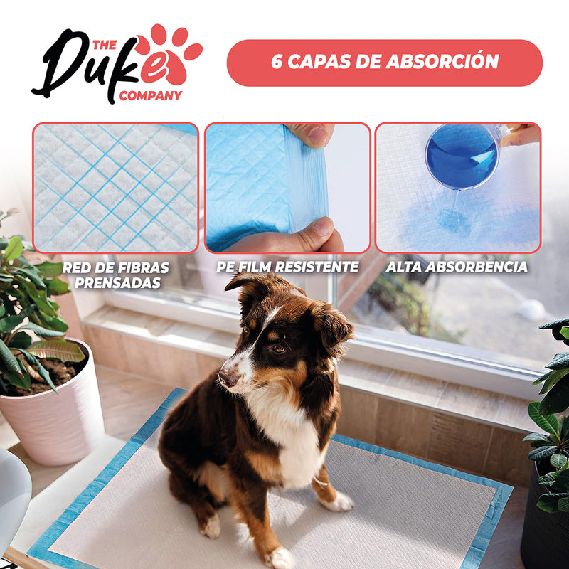Sabanillas Para Perro 45x60 Duke 6 Capas Aromáticas 100u