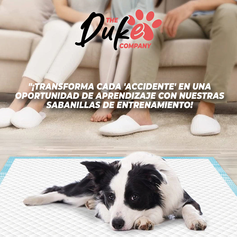 Sabanillas Para Perro 45x60 Duke 6 Capas Aromáticas 100u