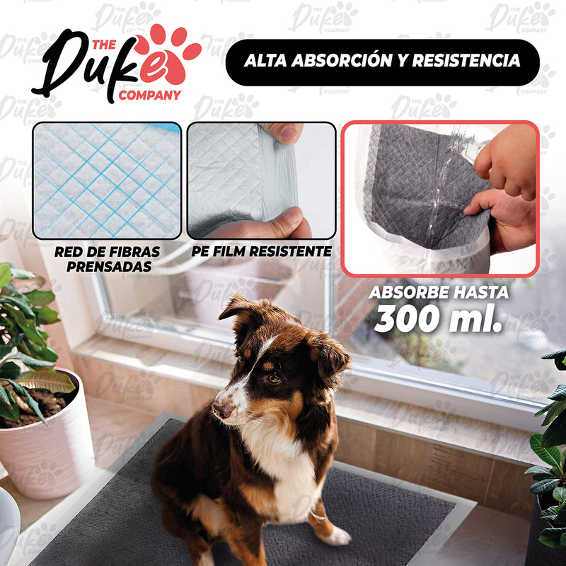 Sabanillas Para Perro Carbon 60x60 Duke 6 Capas Aromaticas 40U Pad