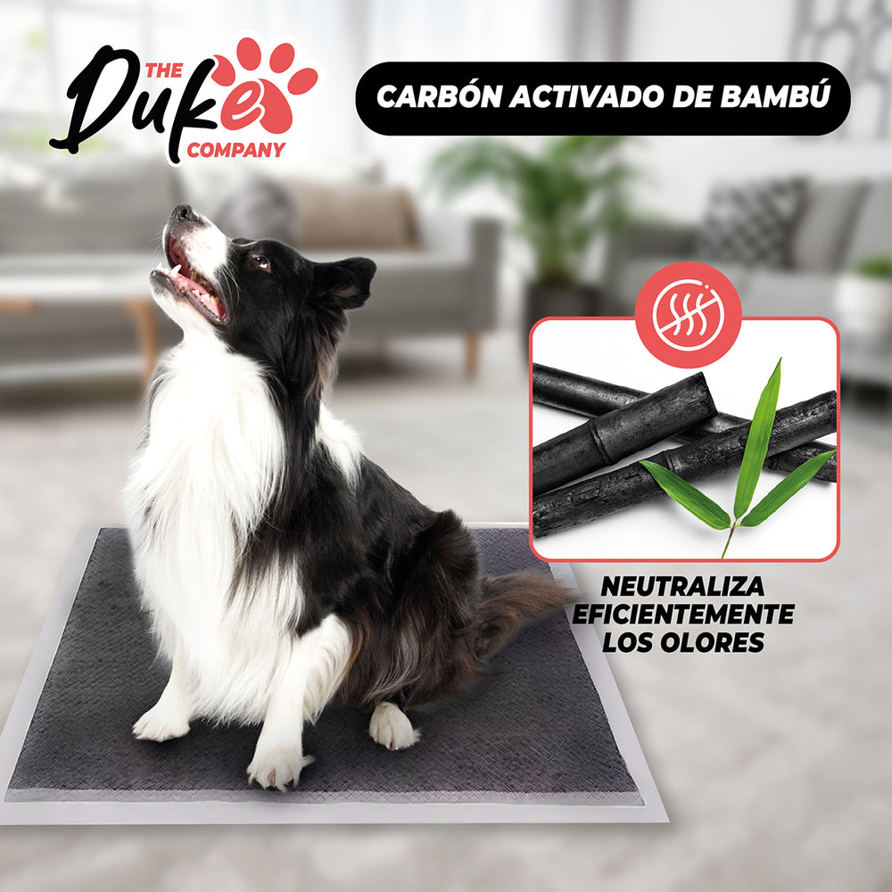 Sabanillas para Perro Carbón 60x60 cm (40U)