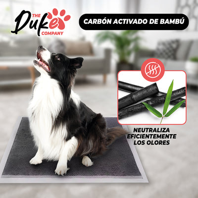 Sabanillas Para Perro Carbon 60x60 Duke 6 Capas Aromaticas 40U Pad